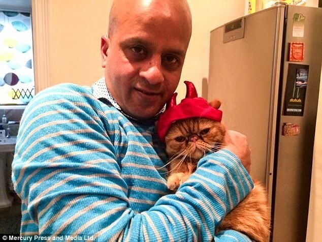 46-летний ИТ-консультант Джавид живет в Лондоне с двумя кошками