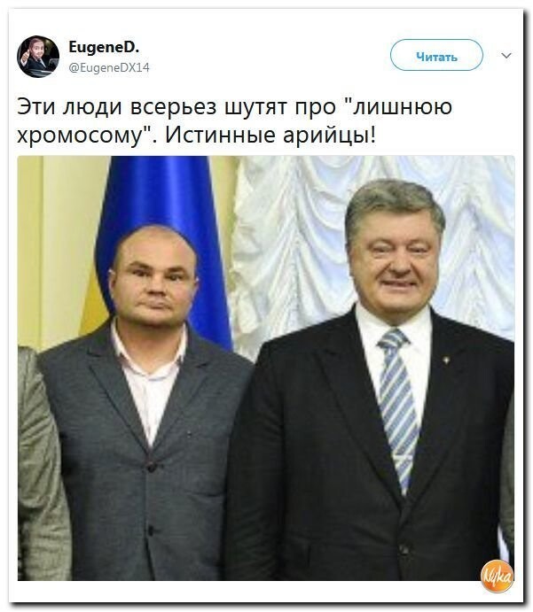 Политические коментарии соцсетей - 317