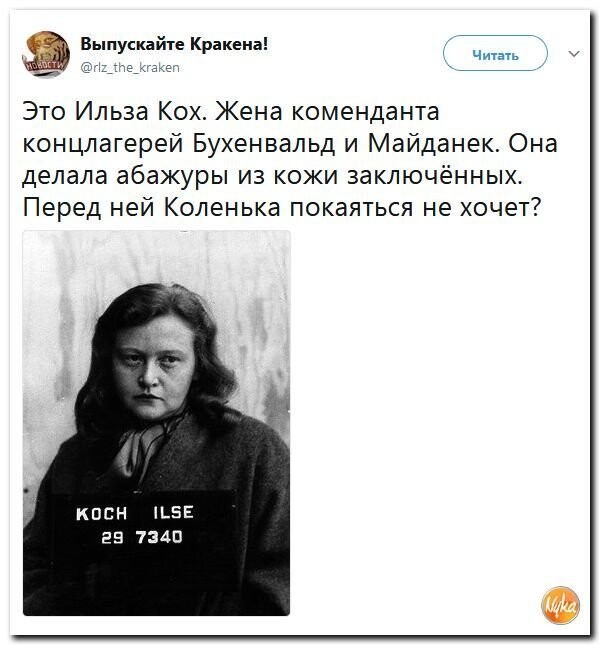 Политические коментарии соцсетей - 317
