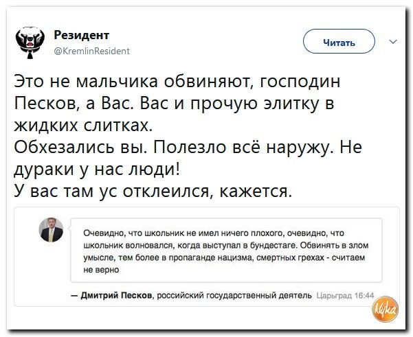 Политические коментарии соцсетей - 317