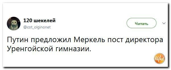 Политические коментарии соцсетей - 317