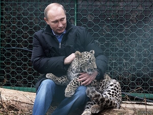 «Лучшие моменты Путина» пустили в тираж