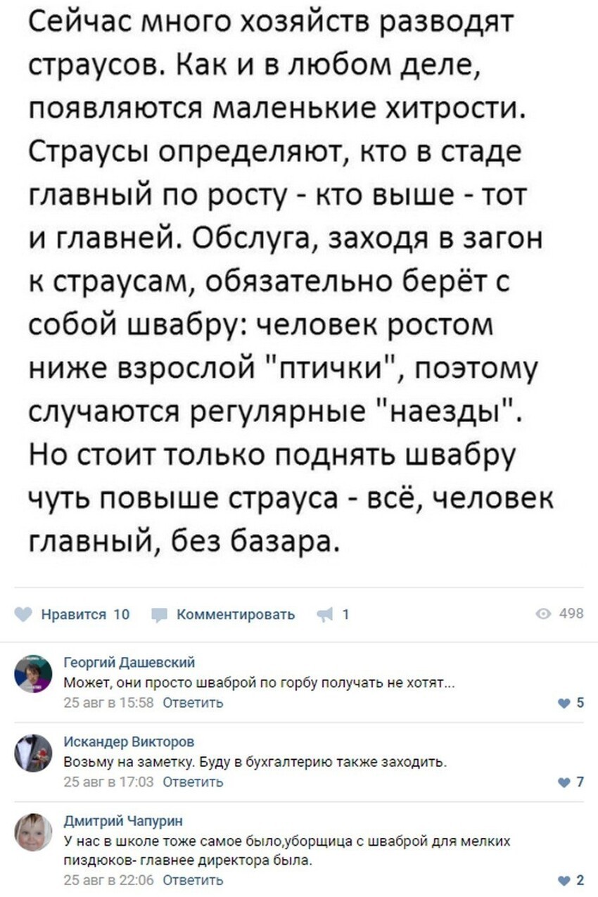 Смешные коментарии из соцсетей от Александр Ломовицкий за 25 ноября 2017