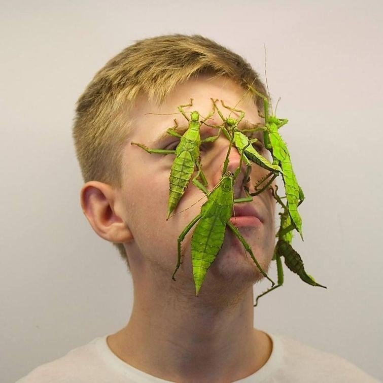 Адриан Козакевич — парень, обожающий экзотических насекомых и снимающий их на своём лице