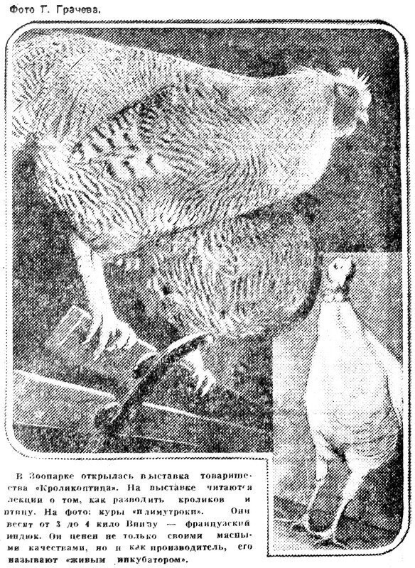 «Вечерняя Москва», 25 ноября 1932 г.