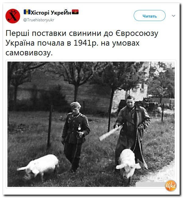 Политические коментарии соцсетей - 320