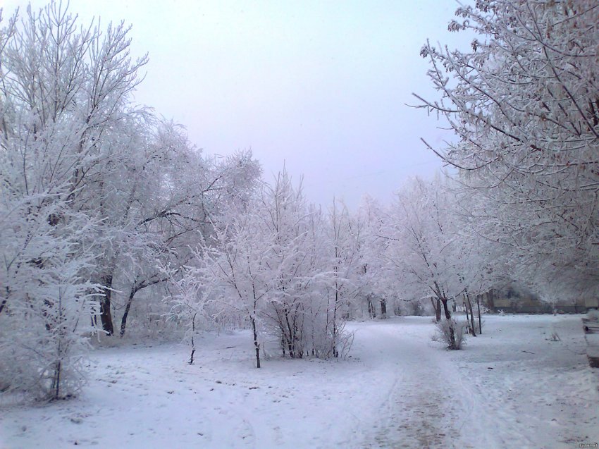 Зима пришла в Волгоград