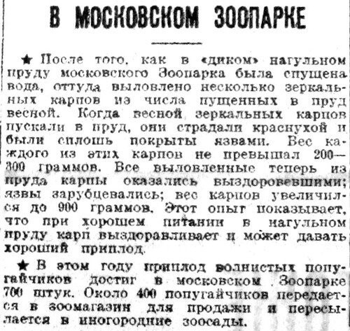 «Известия», 27 ноября 1934 г.