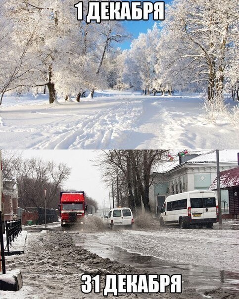 Смешные картинки с надписями