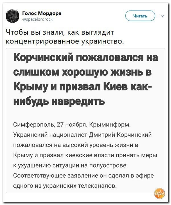 Политические коментарии соцсетей - 323