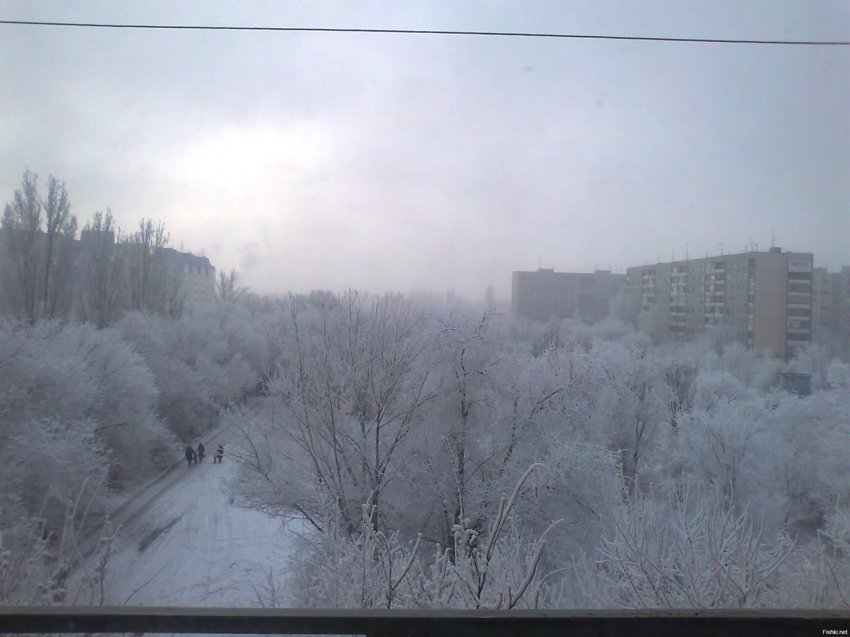 Зимний пейзаж из моего окна