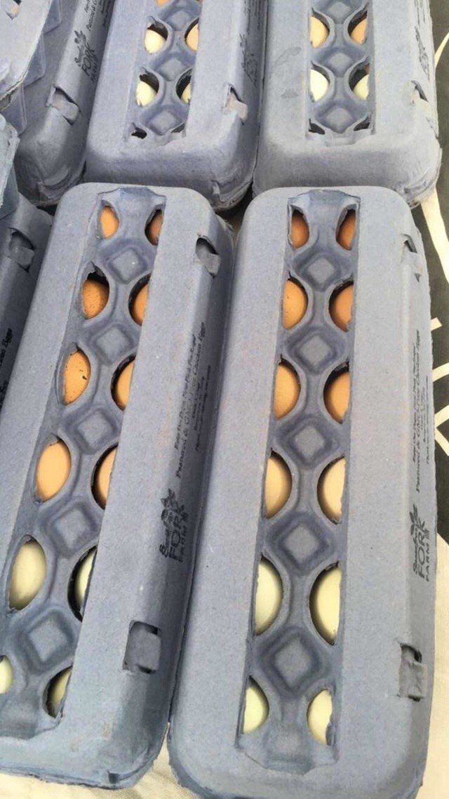 Оказывается, яйца тоже могут быть градиентными