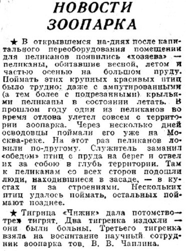«Вечерняя Москва», 29 ноября 1938 г.