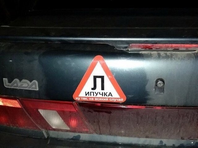 Автовсячина