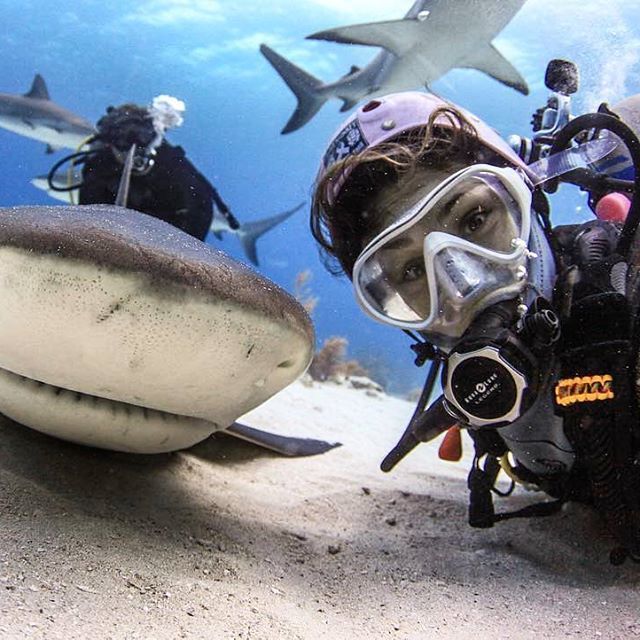 Селфи с акулой