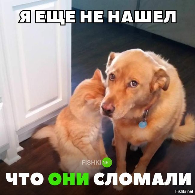 Зря раскаялись раньше времени.