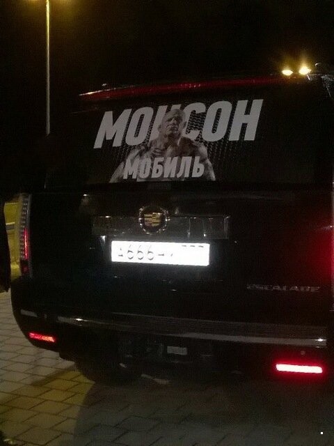 Автовсячина