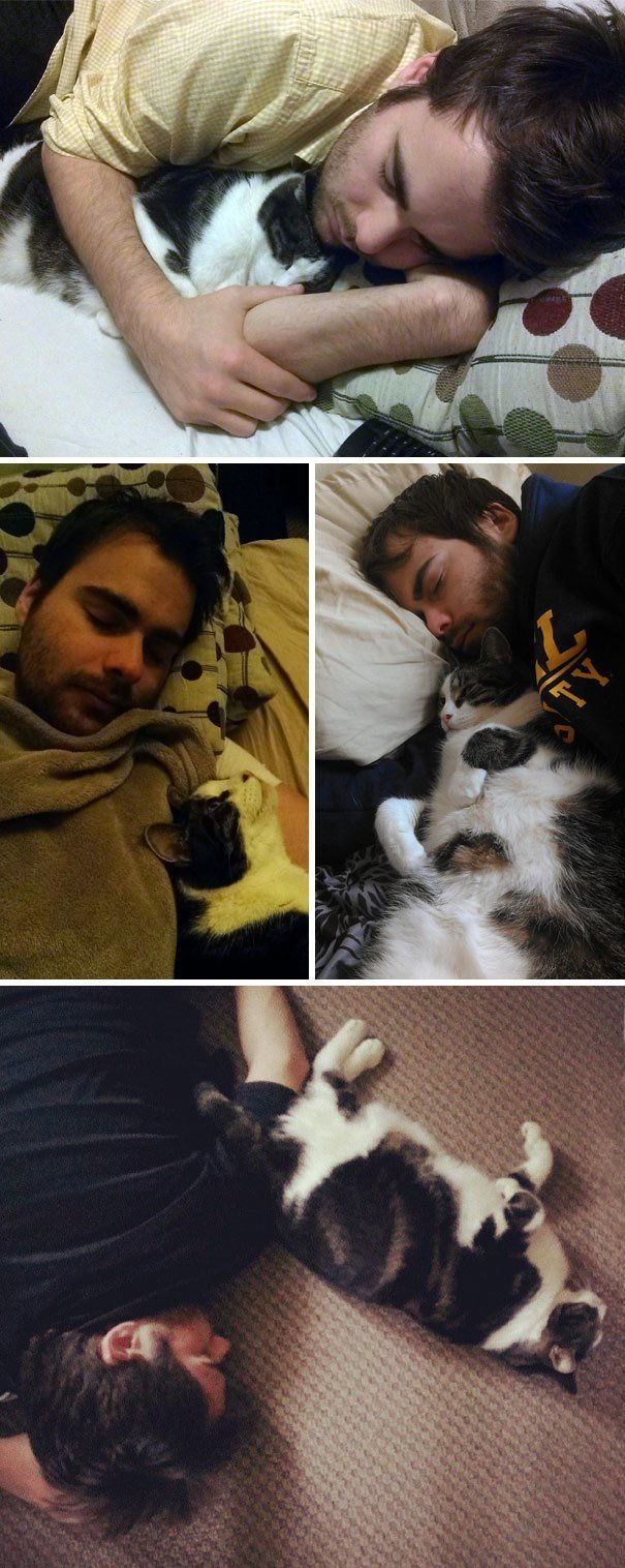 "Когда бы мой муж ни заснул, наша кошка тут же укладывается к нему"