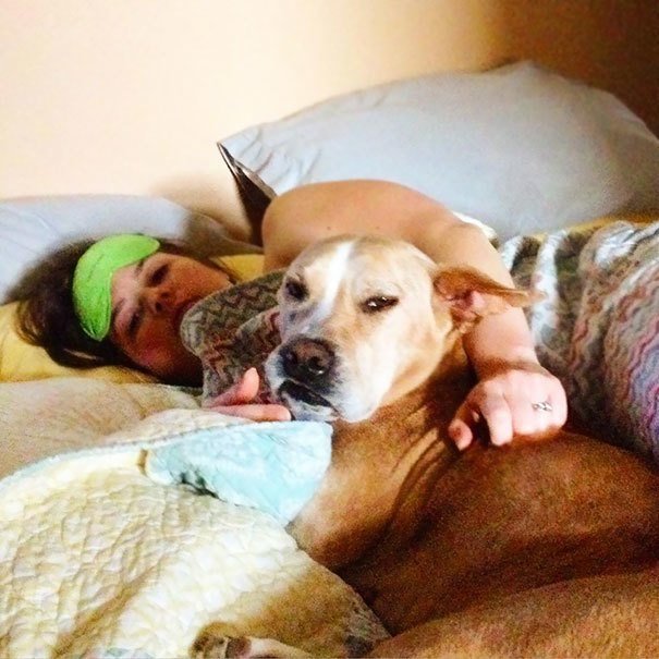"Лежа в постели с моей женой, наш пес всегда смотрит на меня именно так"