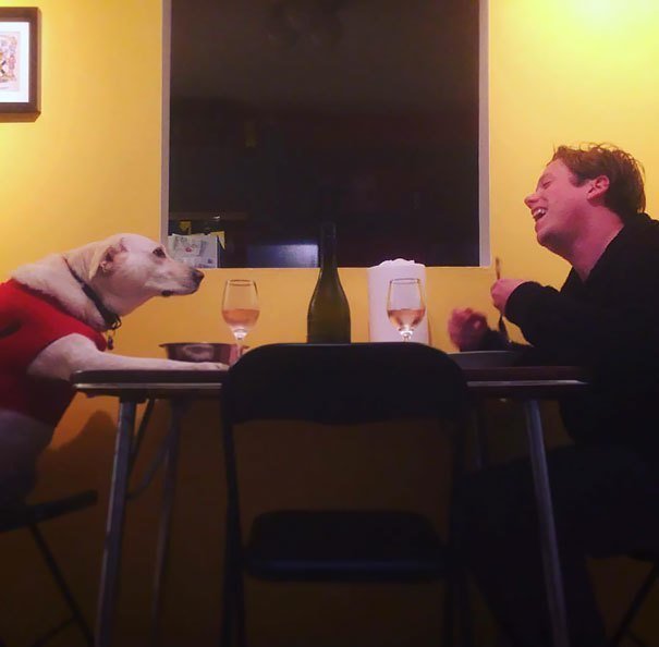 "Моя девушка уехала, и мы с ее собакой наконец-то смогли поужинать вместе"