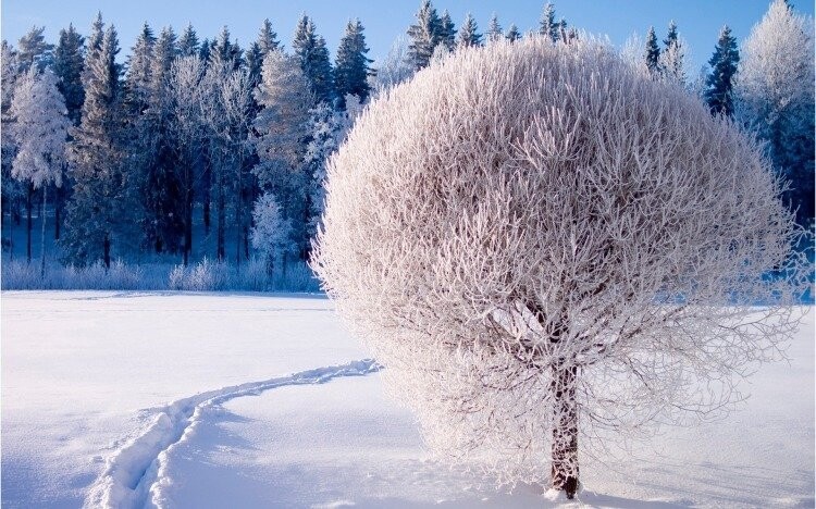 Завораживающая красота первого снега!