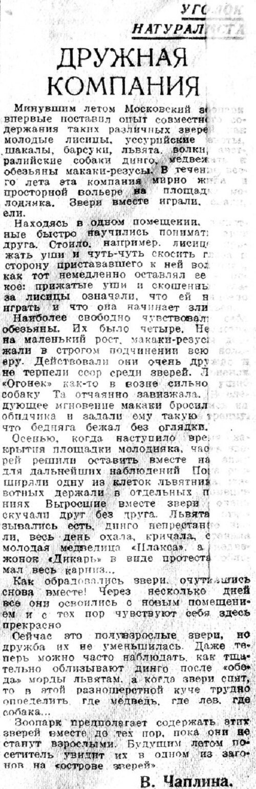 «Вечерняя Москва», 3 декабря 1938 г.