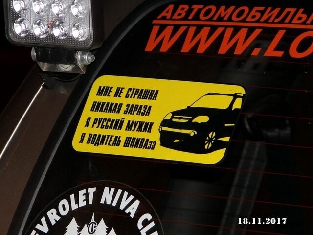 Автовсячина