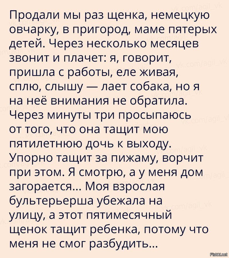 Маленький спасатель.