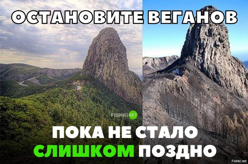 Остановите веганов.