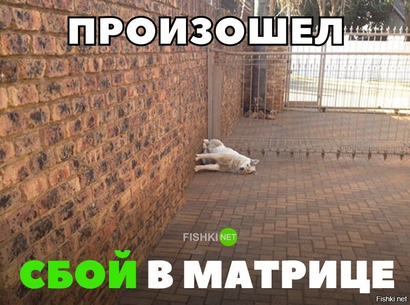 Сбой в матрице.