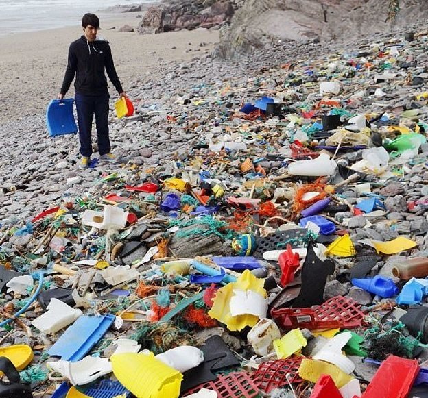 Ученые Гентского и Экстерского университетов изучают влияние пластиковых отходов на обитателей мирового океана, в частности устриц и мидий 