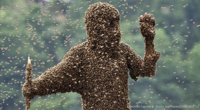 Пчелы против фашистов