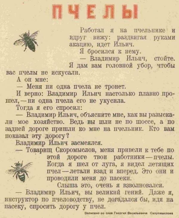 Ленин и пчелы