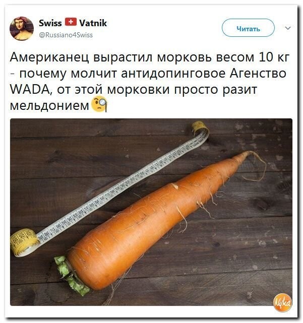 Политические коментарии соцсетей - 331