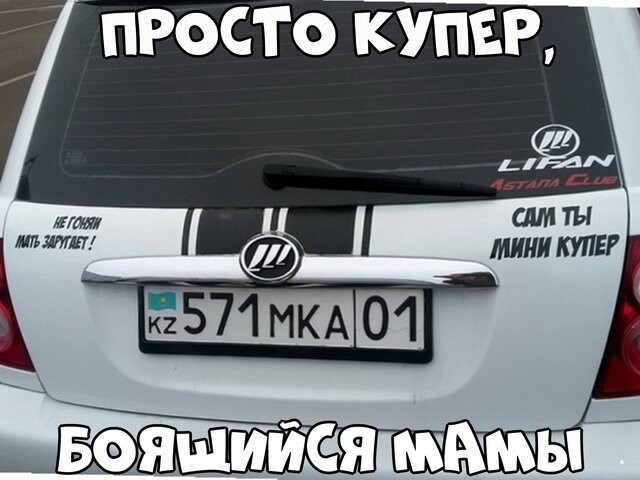 Автовсячина