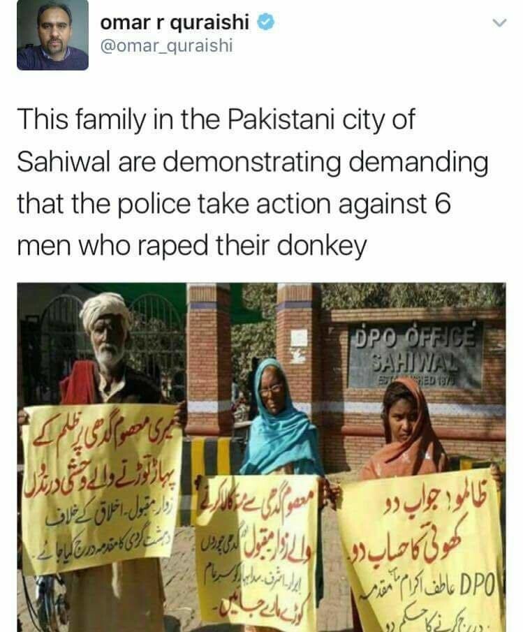 Эта пакистанская семья обращается к полиции, чтобы расследовали дело об изнасиловании их осла