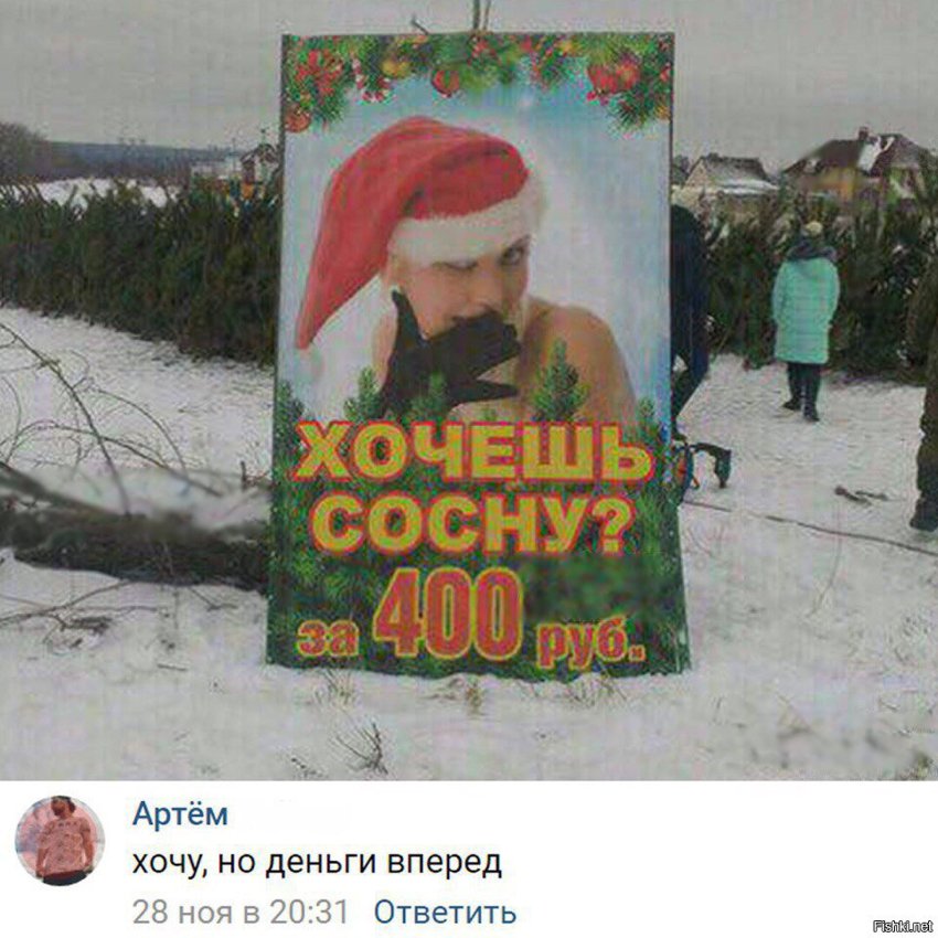 Хотите сосну?