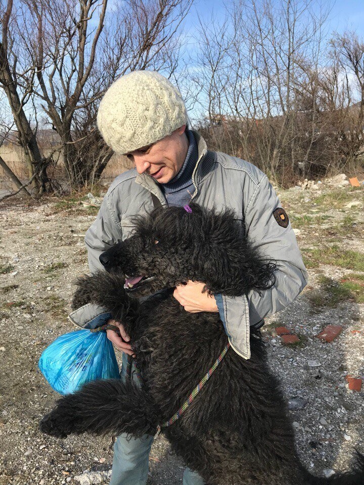 Новороссийский Хатико: пес два месяца ждал свою хозяйку из больницы