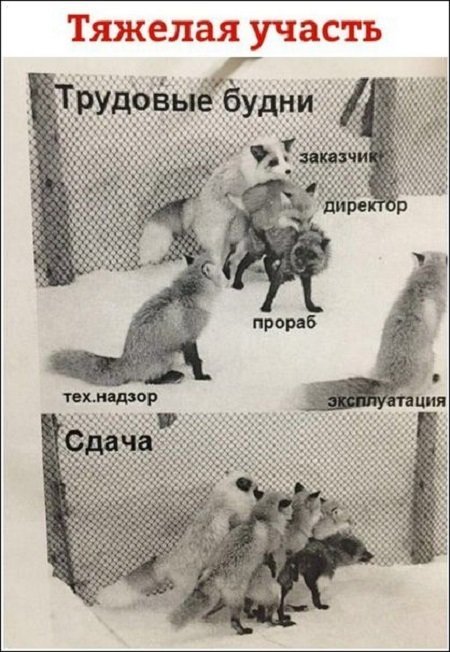 Картинки с надписями от Алексей за 05 декабря 2017