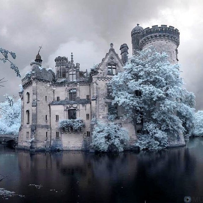 6,5 тысячи человек скинулись и купили замок во Франции