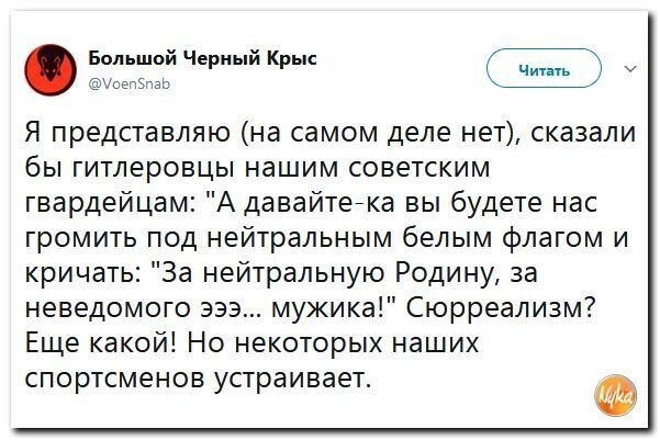 Политические коментарии соцсетей - 333