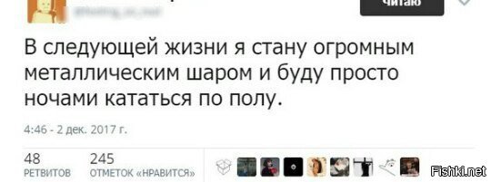 Так вот кто шумит по ночам