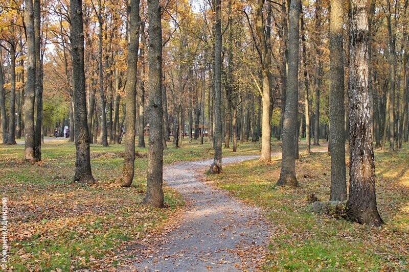 Город Строитель Белгородская область