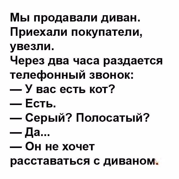 Очередная порция картинок с подписями от TainT за 07 декабря 2017