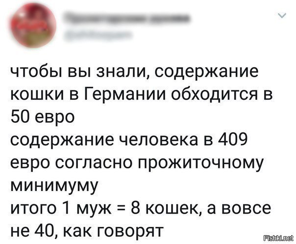 40 кошек = гарем из мужиков