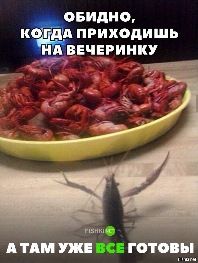 Когда приехал последним на вечеринку