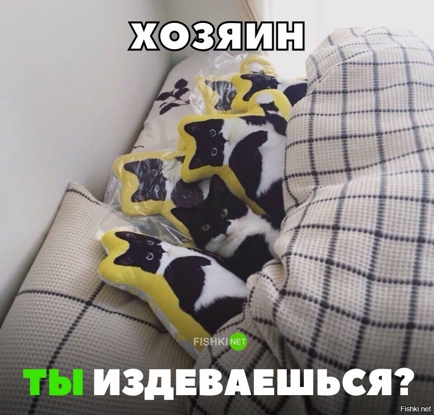 Когда хозяин немного не в себе