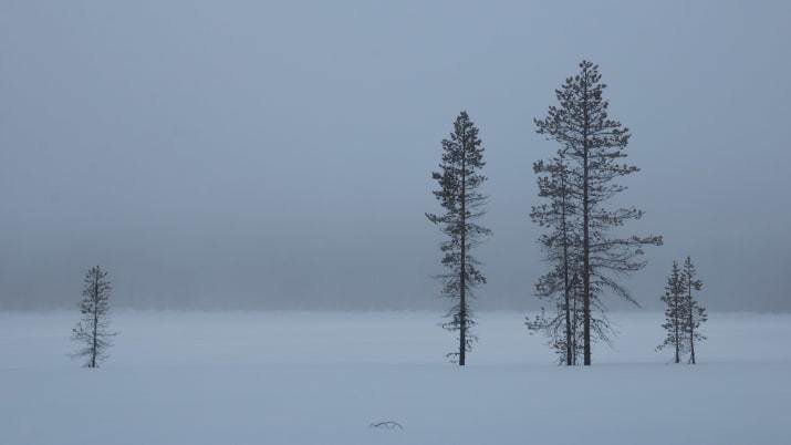Зимой в Финляндии не очень-то солнечно...