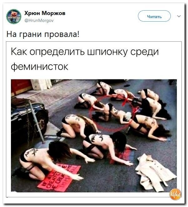 Политические коментарии соцсетей - 337
