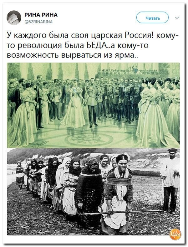 Политические коментарии соцсетей - 337